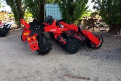 Bis1