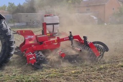 poplon8